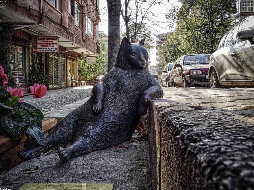 ប្រវត្តិ និងកំណើតនៃកីឡាបាល់ឱសថ