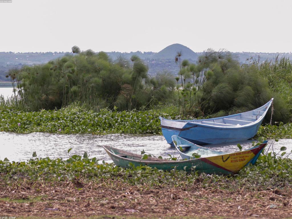 សារសំខាន់នៃកីឡាខ្មែរ និងការពង្រឹងសង្គម