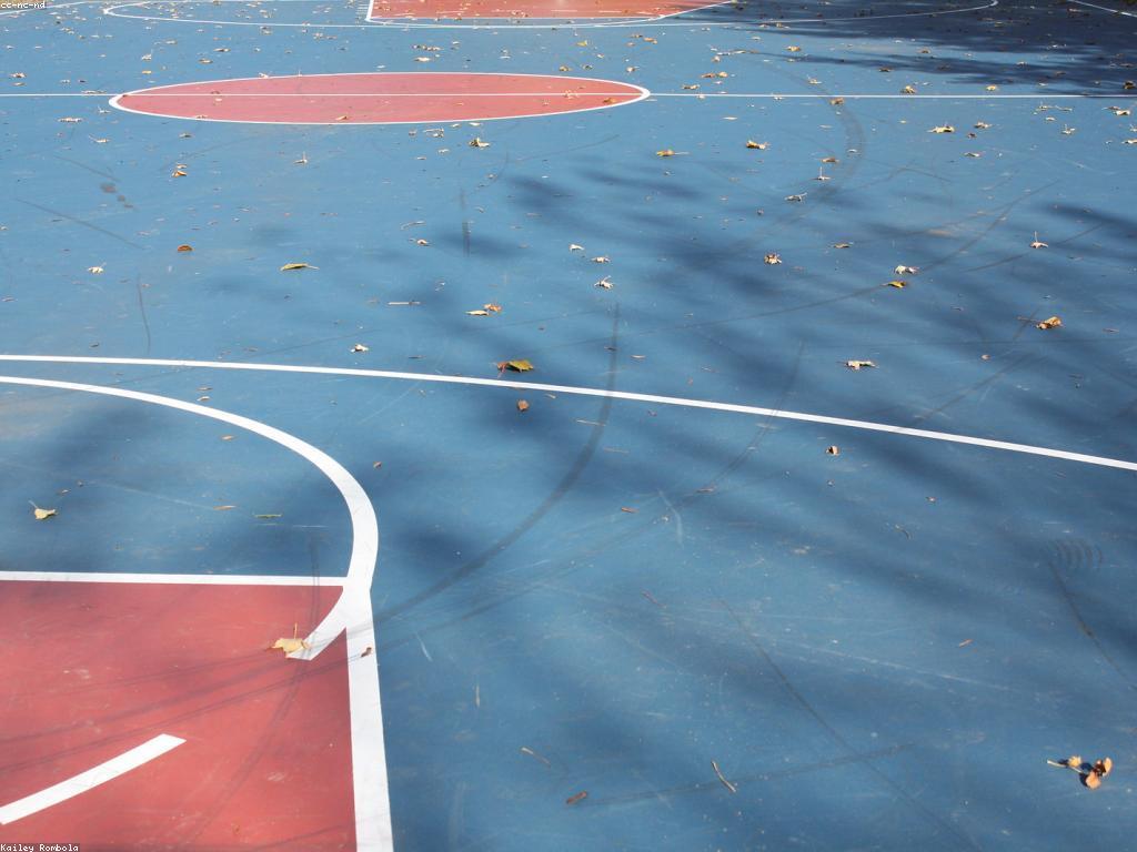 ការយល់ដឹងអំពីច្បាប់នៃកីឡាបាល់ឱសថ