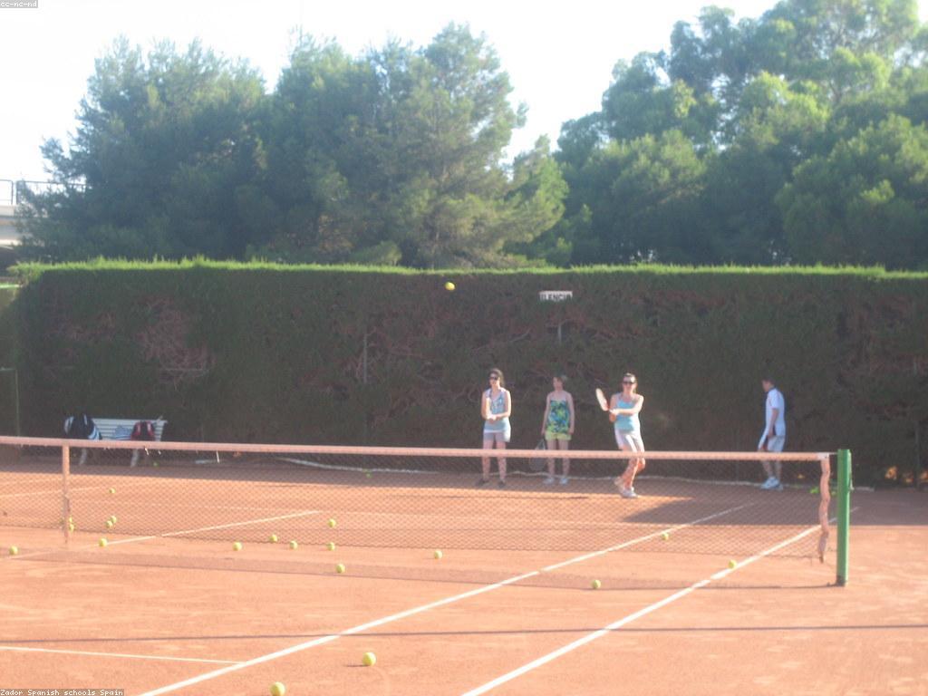 មូលដ្ឋាននៃកីឡាបាល់ឱសថ