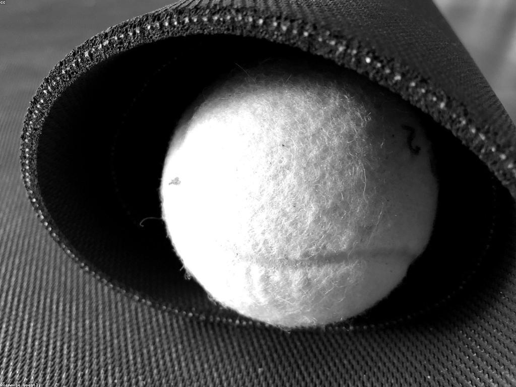 មូលដ្ឋាននៃកីឡាបាល់ឱសថ